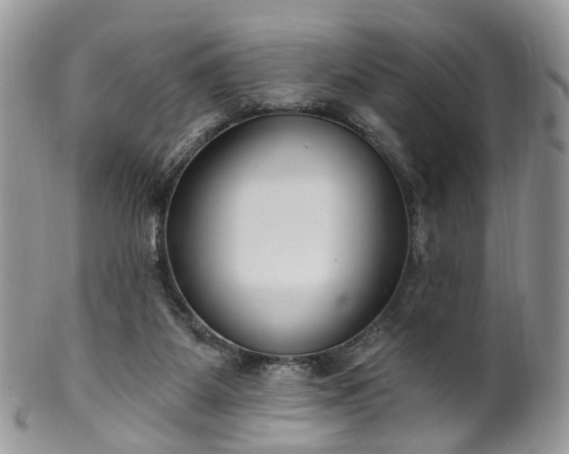 X0000100410115200806131045