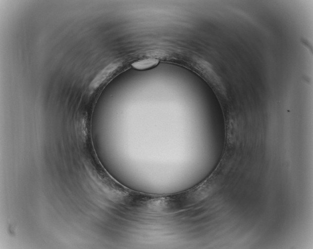 X0000100410116200806131045