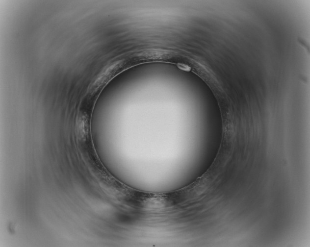 X0000100410119200806131045