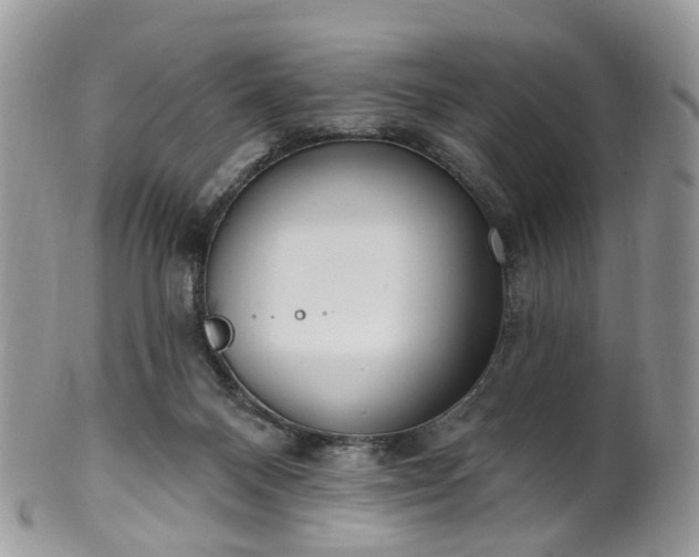 X0000100410120200806131045