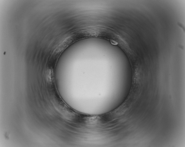 X0000100410122200806131045