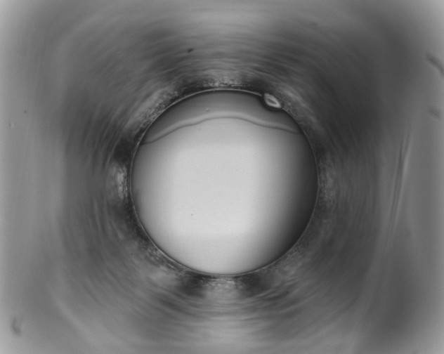 X0000100410123200806131045