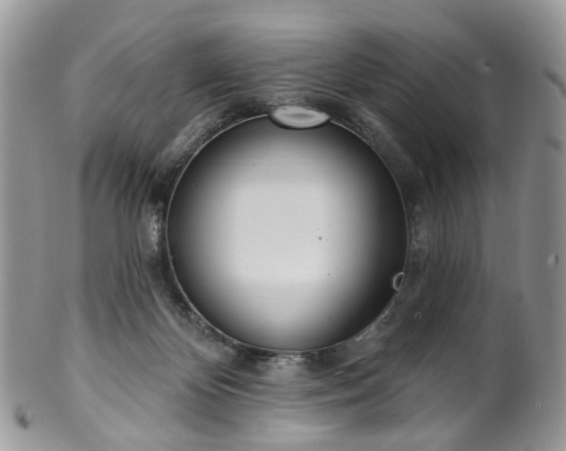 X0000100410124200806131045