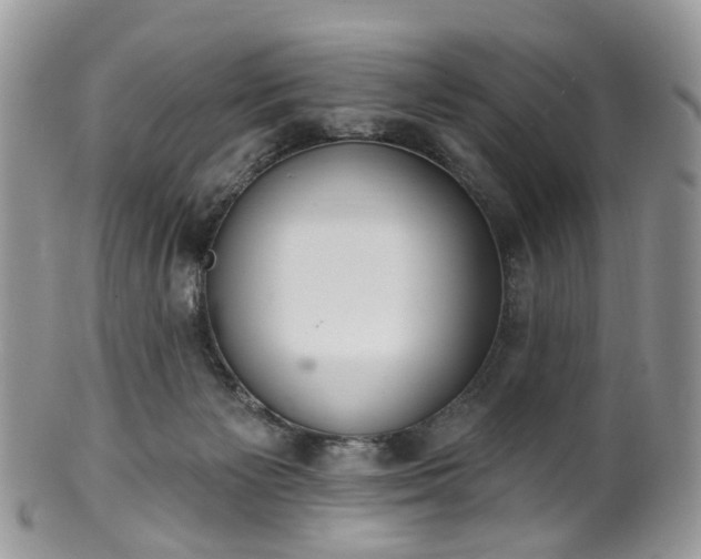 X0000100410125200806131045