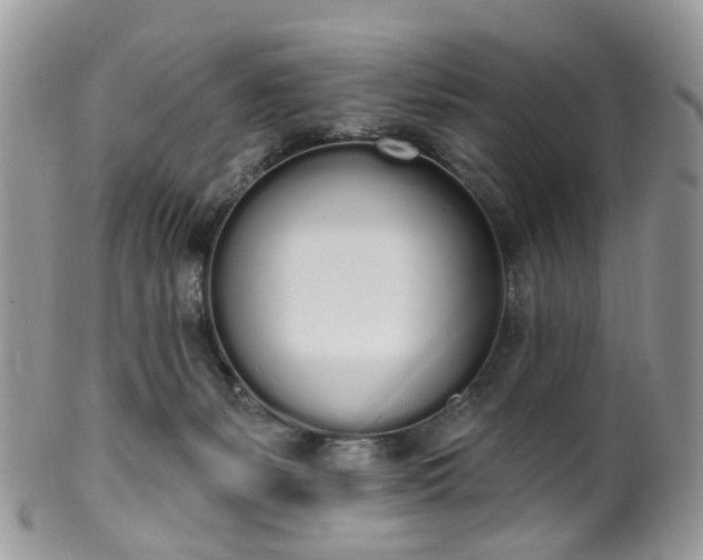 X0000100410127200806131045