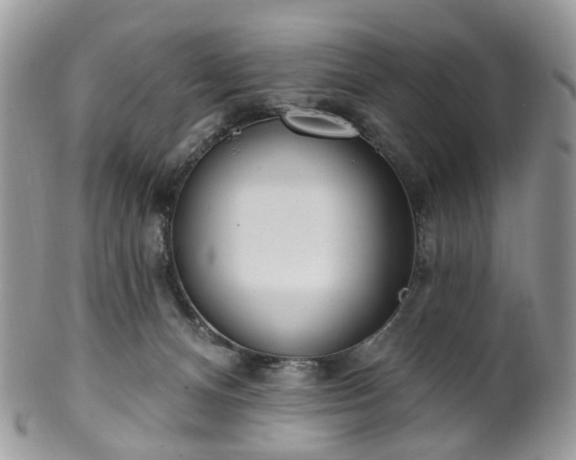 X0000100410128200806131045