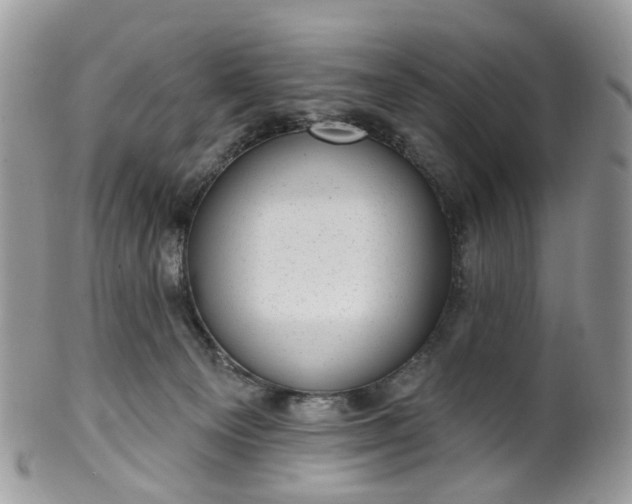 X0000100410129200806131045