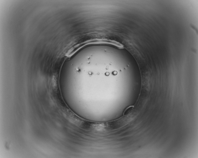 X0000100410131200806131045