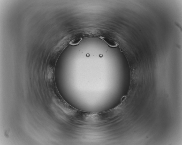 X0000100410132200806131045