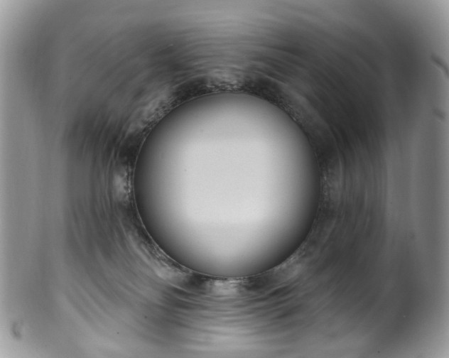 X0000100410134200806131045