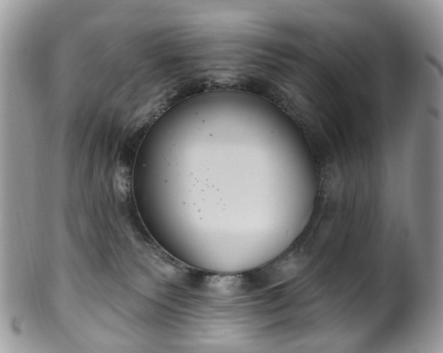 X0000100410135200806131044