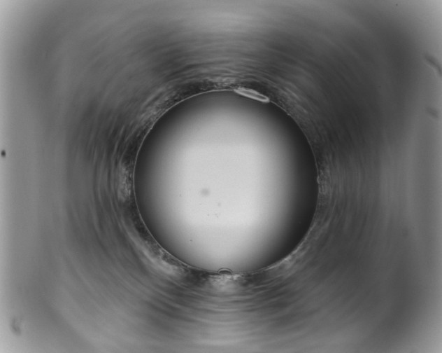 X0000100410136200806131044