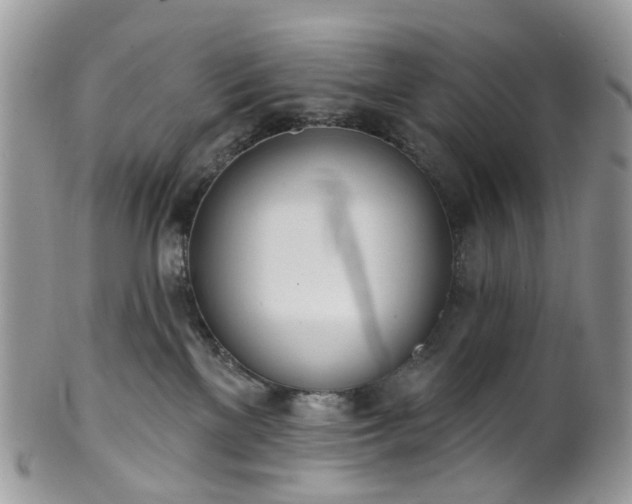 X0000100410137200806131044