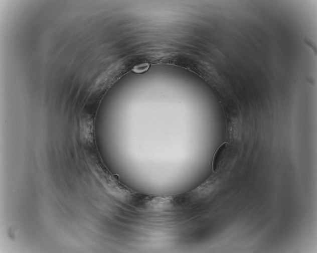 X0000100410138200806131044