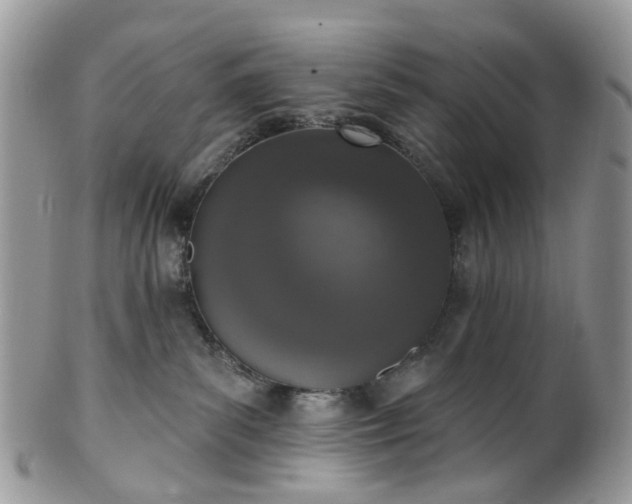 X0000100410139200806131044