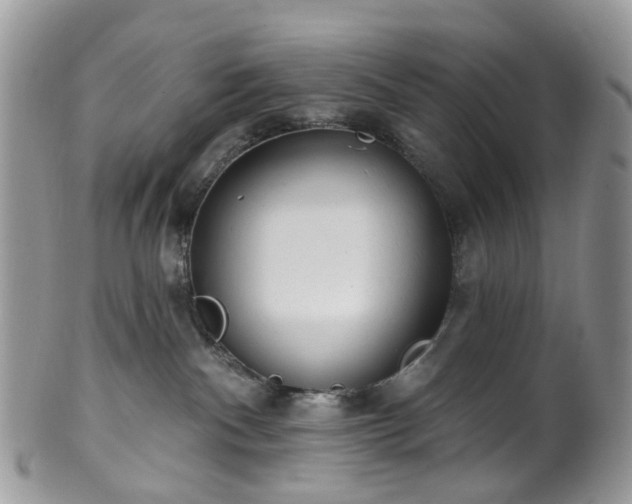 X0000100410140200806131044