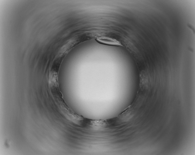 X0000100410141200806131044