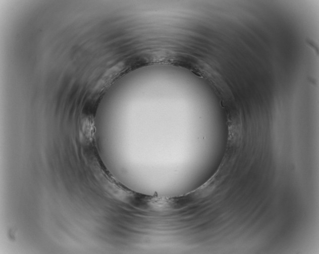 X0000100410142200806131044