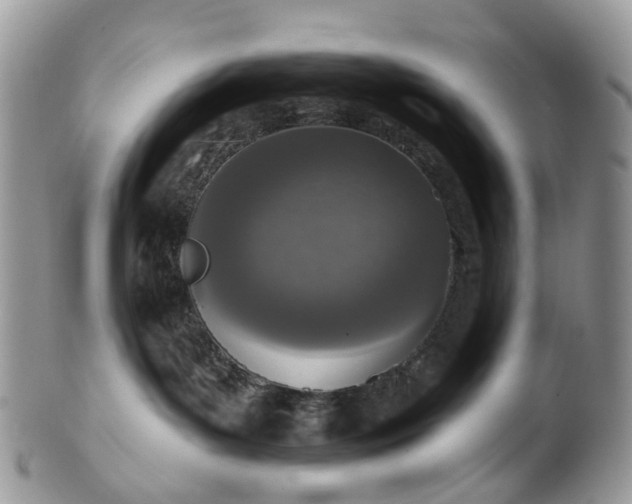 X0000100410143200806131044