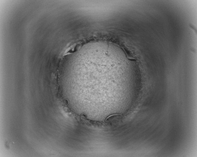 X0000100410144200806131044