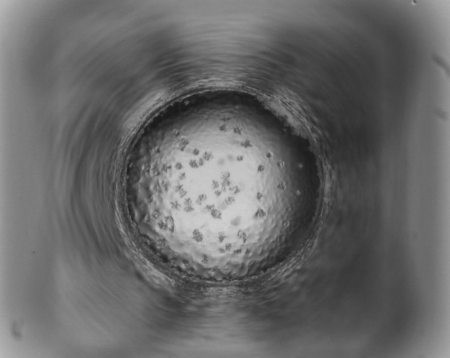 X0000100410145200806131044