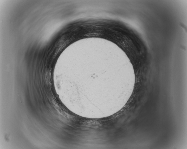 X0000100410146200806131044