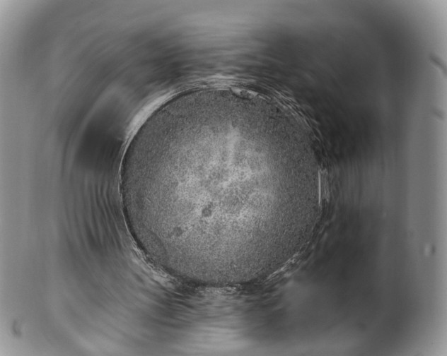 X0000100410147200806131044