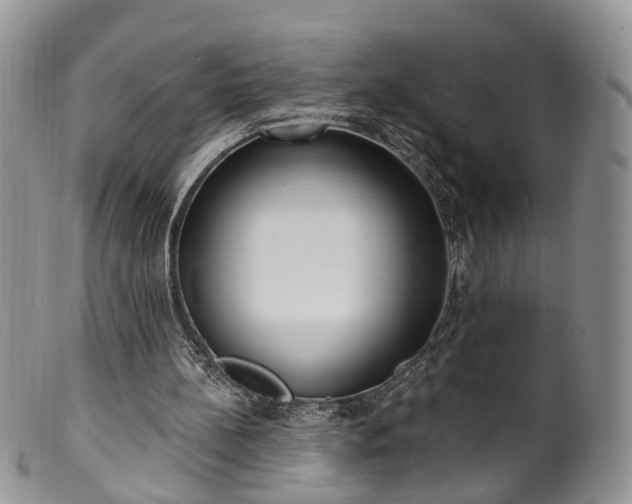 X0000100410148200806131044