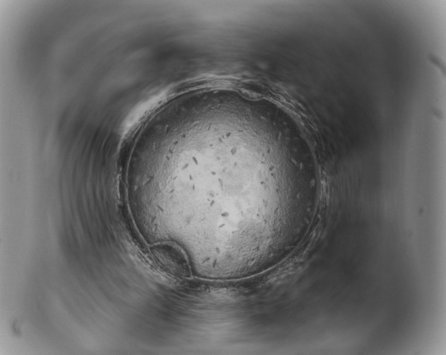 X0000100410149200806131044
