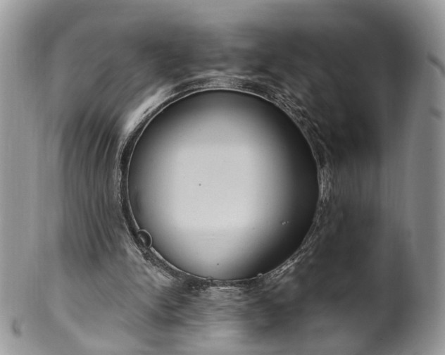 X0000100410150200806131044