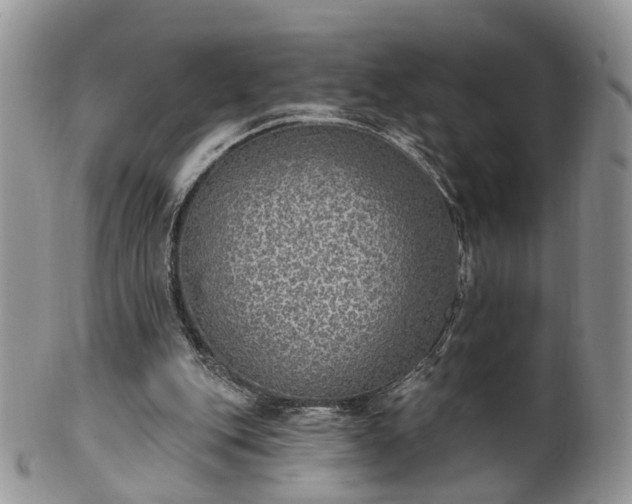 X0000100410151200806131044