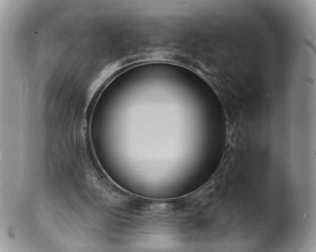 X0000100410152200806131044