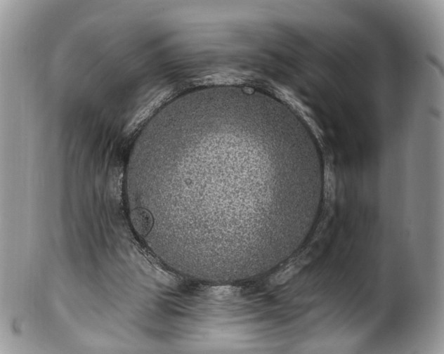 X0000100410153200806131044