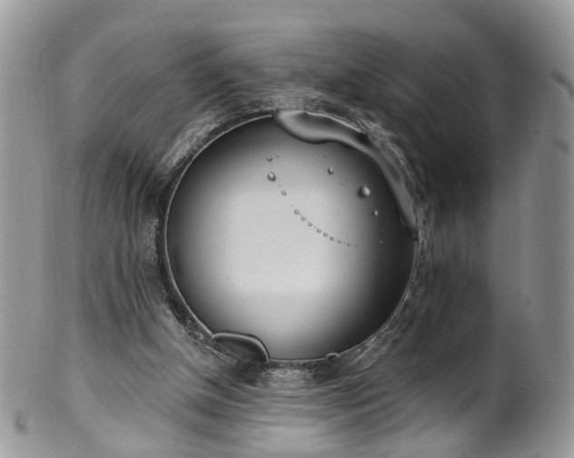 X0000100410154200806131044