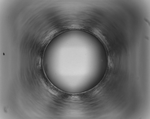 X0000100410157200806131044