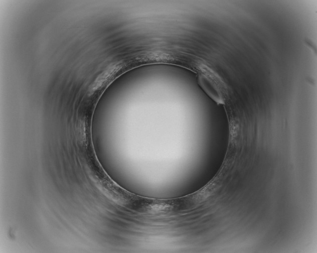 X0000100410158200806131044