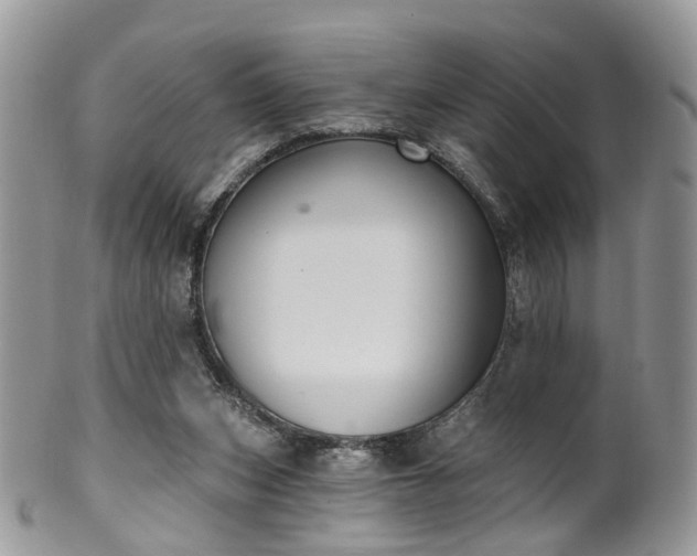 X0000100410159200806131044