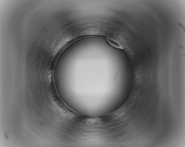 X0000100410160200806131044