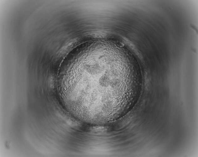 X0000100410161200806131044