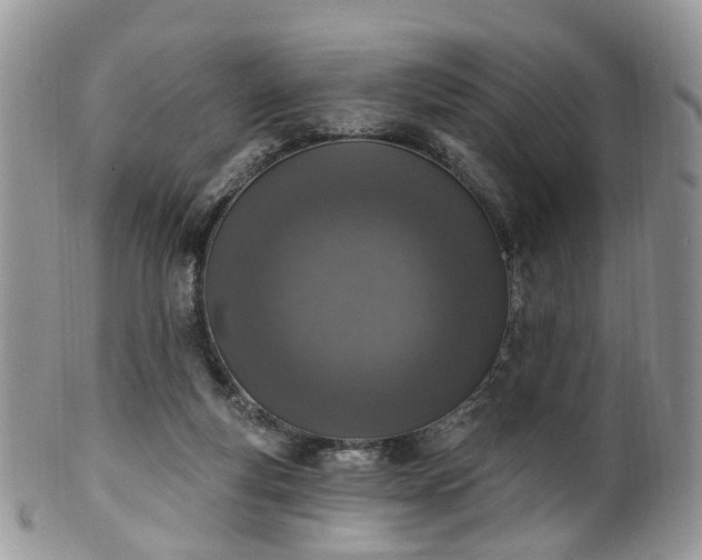 X0000100410163200806131044