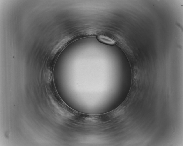 X0000100410164200806131044