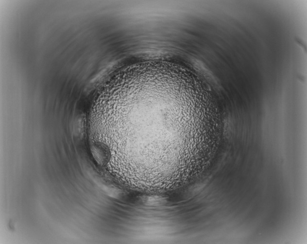 X0000100410165200806131044