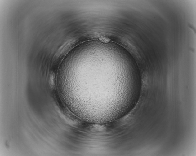 X0000100410166200806131044