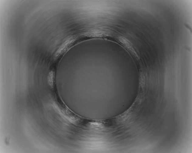 X0000100410167200806131044