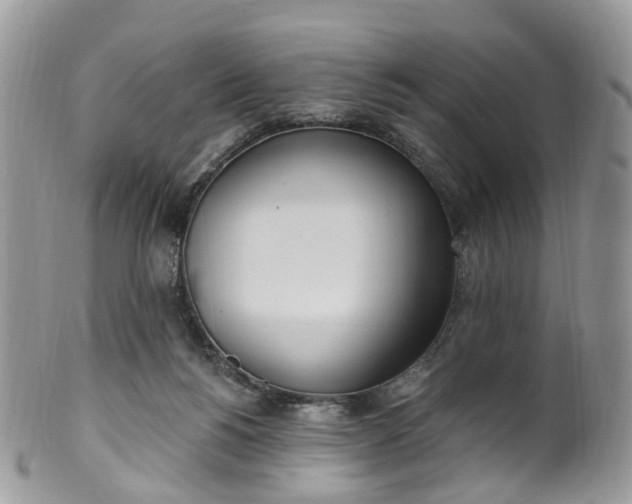 X0000100410168200806131044