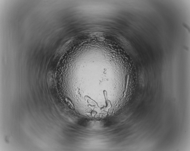 X0000100410169200806131044