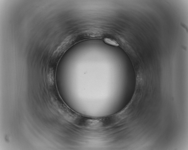 X0000100410170200806131044