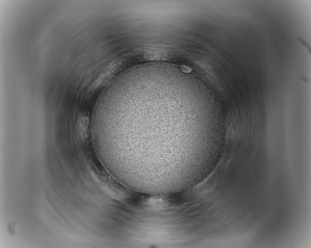 X0000100410171200806131044