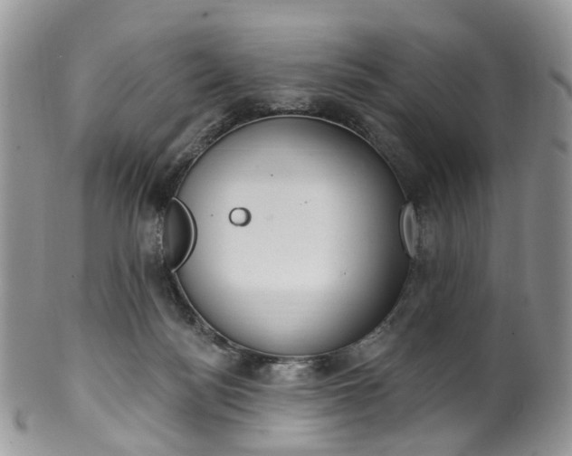 X0000100410172200806131044