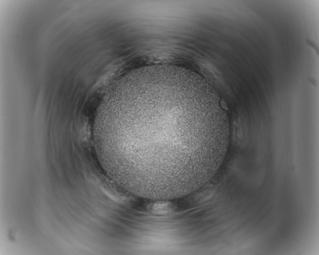 X0000100410173200806131044